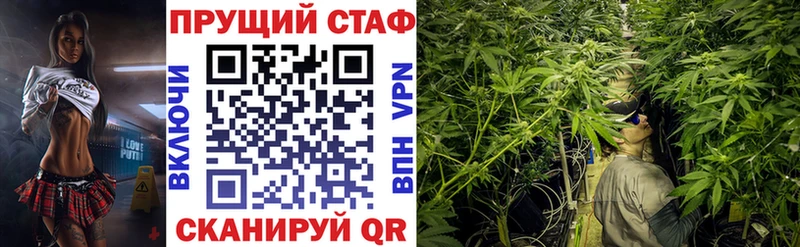 Купить Псилоцибиновые грибы  Альфа ПВП  ГАШИШ  МЕФ  Конопля  Чудово